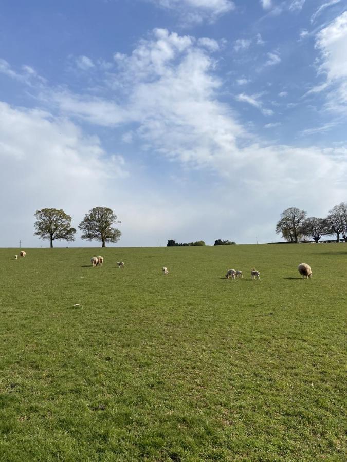 The Chaff House - Farm Stay Apartment Set Within 135 Acres Bromyard Bagian luar foto